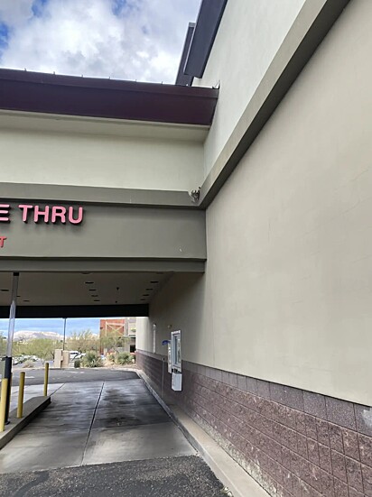 O casal havia feito o ninho em uma saliência logo acima do drive-thru.