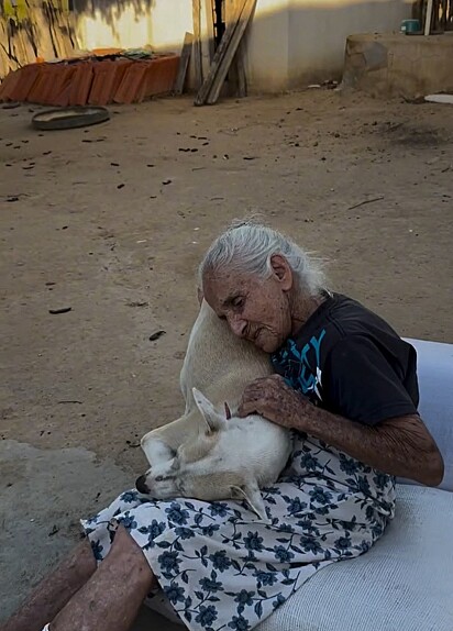 A cachorrinha é muito ligada a dona Varda.