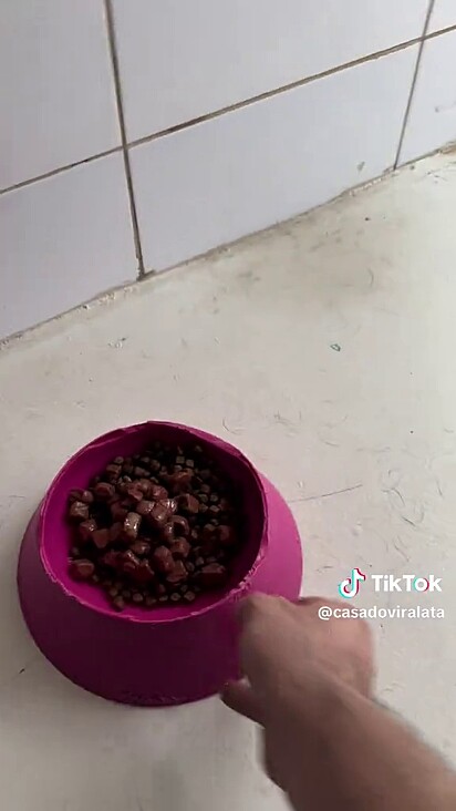 O homem imediatamente se apaixonou por ela.