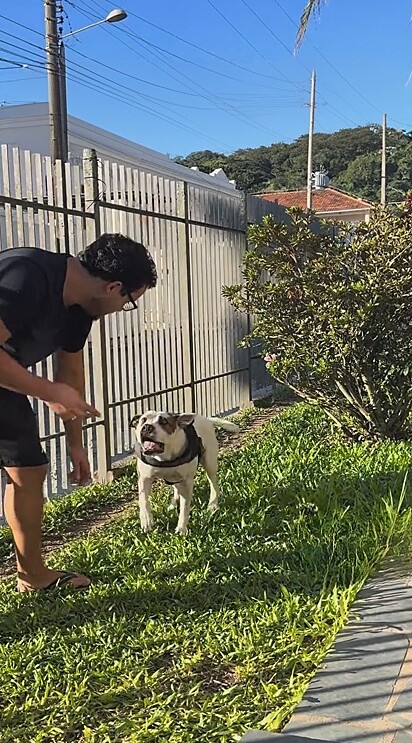 Comovida, ela contou com o apoio do namorado para levá-lo para casa.