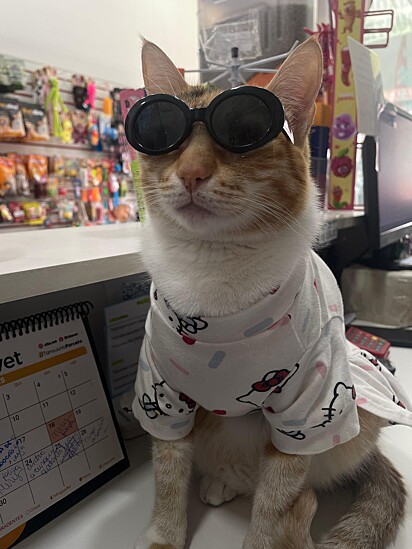 Amarelinha é uma gerente cheia de personalidade.
