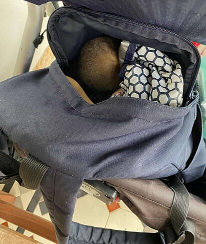 O filhote estava perdido e sem sua mãe.