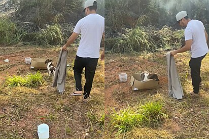 Com coberta na mão, jovem tenta resgatar cachorrinha abandonada mas não contava com sua reação.