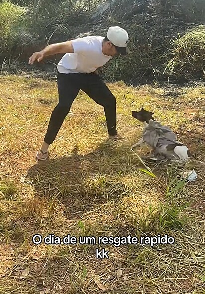 A mãezinha protegendo os seus filhotes.