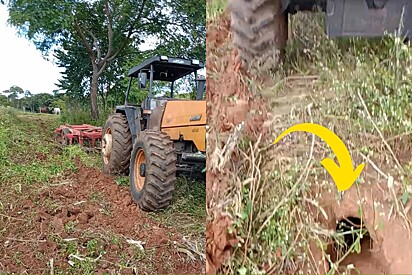 Prestes a passar trator em cima de buraco, trabalhador rural resolve parar e acaba salvando duas vidas preciosas.