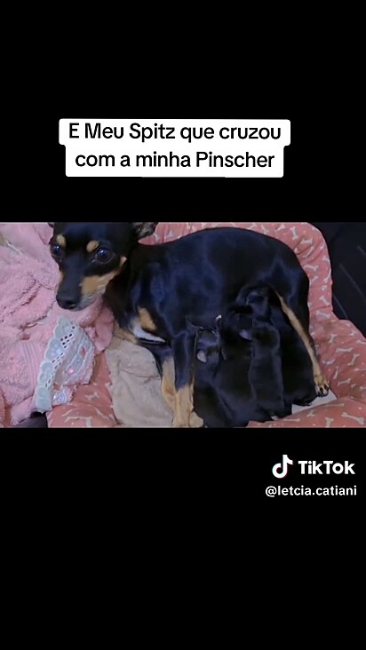Apesar do inesperado a gestação foi tranquila.