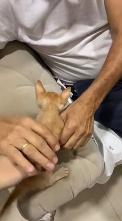 O homem não gostou inicialmente da ideia.
