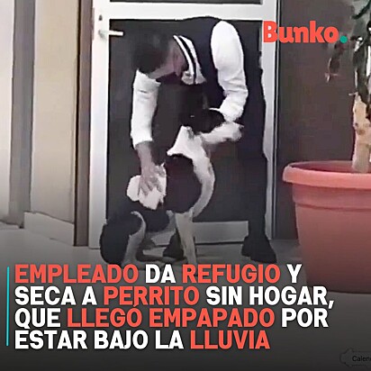 O homem foi flagrado secando o cão.