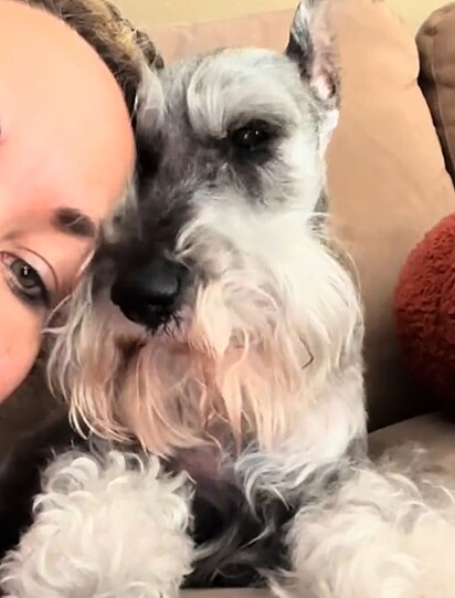 Remington, um schnauzer miniatura, esteve ao lado da tutora por 15 anos.