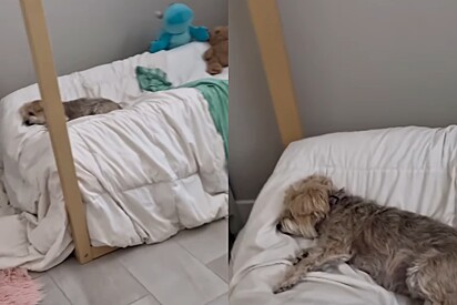 Bella passa o dia na cama de Ariana.