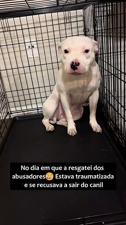 Quando não está confortável sabe onde se sentir segura.