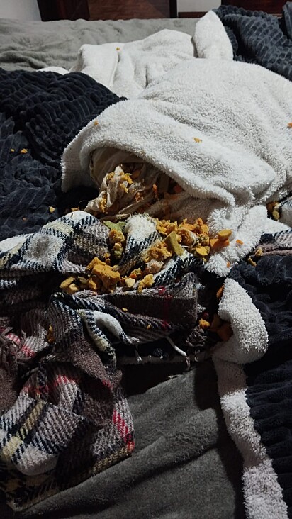 Cerejinha não perde a oportunidade de destruir algo da casa.
