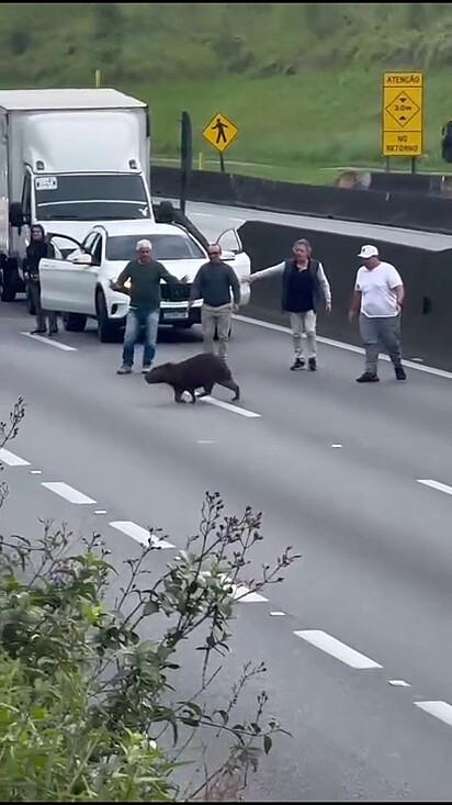 As pessoas formaram um cordão humano na rodovia.