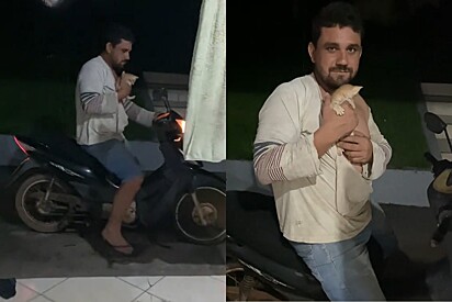 Marido sai para comprar pastel e volta com uma surpresa: O que é isso?