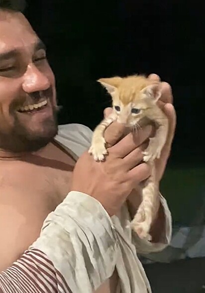 O gatinho foi nomeado Foguinho.