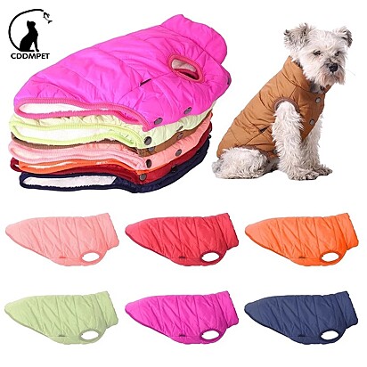 Colete para cães.