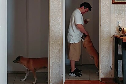 Billu está em boas mãos.