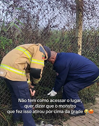 Com a ajuda dos bombeiros, Bianca conseguiu resgatar a cachorrinha.