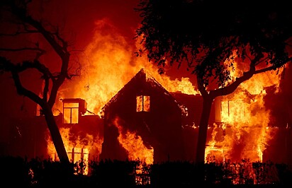 Com o incêndio a comunidade não conseguiu mais cuidar do gato.