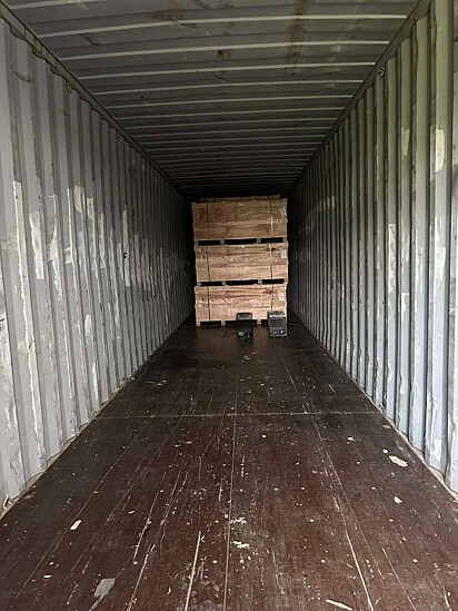 A gatinha entrou no contêiner escondida. 