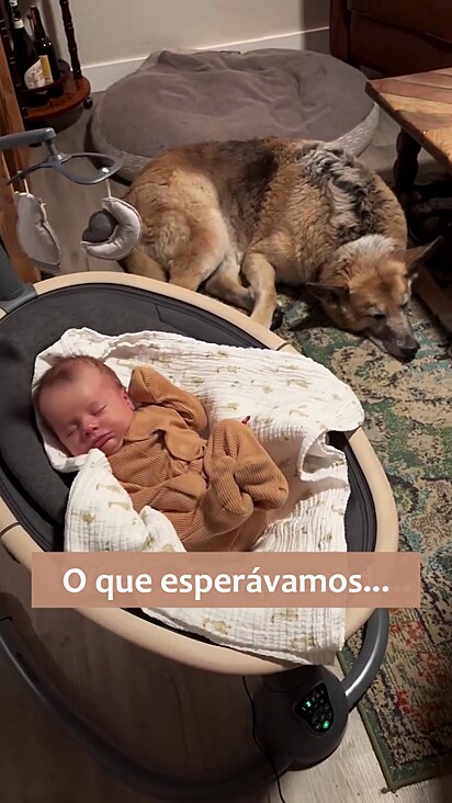 Eles já se acostumaram com a presença um do outro.