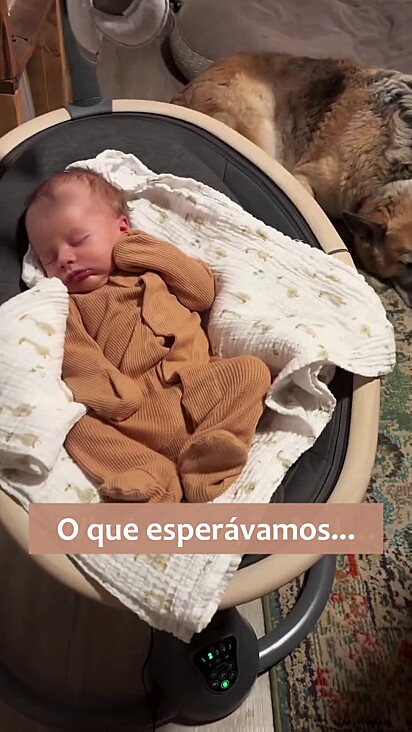 Na maioria do tempo eles estão comportados.