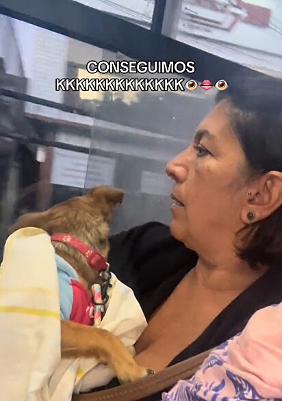 A família conseguiu pegar o ônibus com a caramelo no colo, fingindo ser um bebê reborn.