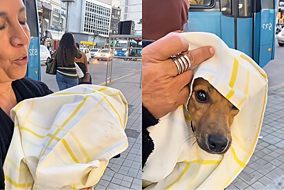 Filha não consegue se conter ao filmar mãe levando seu cachorro reborn no ônibus.