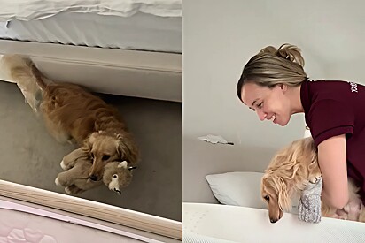 Wilbur ama sua irmãzinha.