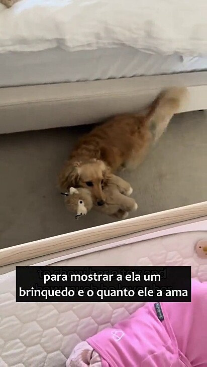 Os presentes representam seu amor pela pequena.