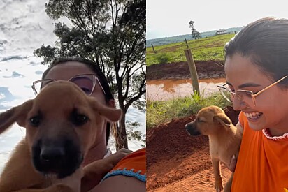 Roberta largou tudo o que estava fazendo e foi buscar o cãozinho.