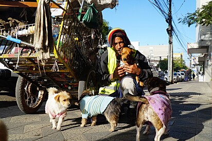 Reciclador que ficou famoso por andar com todos os seus cachorros de roupinha dá entrevista emocionante.