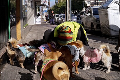 Cládio cuida dos cães com muito carinho.