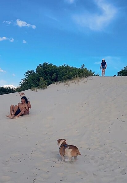 Tambor não gostou muito da brincadeira dos amigos.