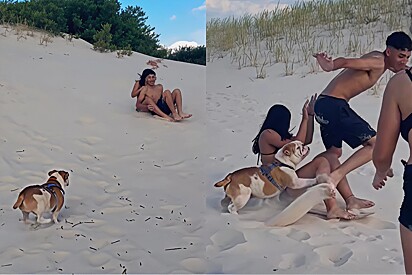 Casal fazia descida tranquila até que Buldogue chamado Tambor decidiu que isso não era uma boa ideia.