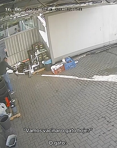O rapaz tentando se desvencilhar do gato.