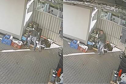 Tudo estava tranquilo até homem resolver buscar gato para vacinar e ser recebido da pior maneira.