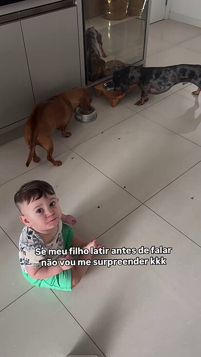 Os peludos já estão acostumados com a presença do bebê.
