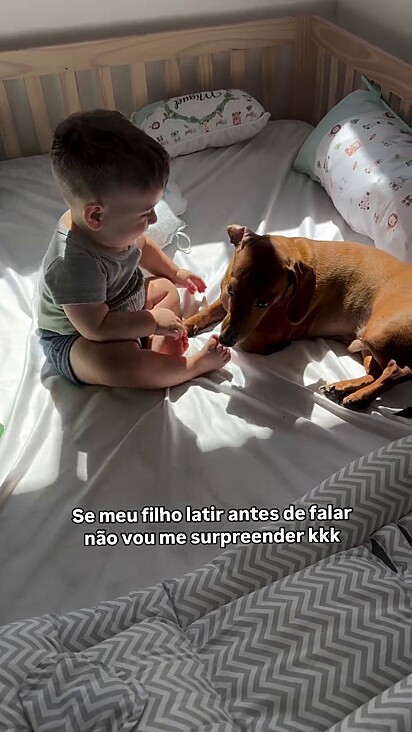 Miguel adora passar o tempo com os cães.