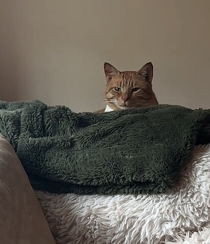 Kurt viveu sozinho por oito meses na casa de seu tutor falecido.