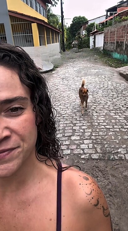 O vira-lata caramelo seguindo a turista.