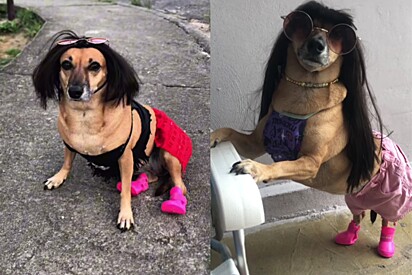 Pituxa se transforma em diferentes personagens.