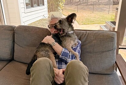 James Gunn e Ozu, um vira-lata resgatado.