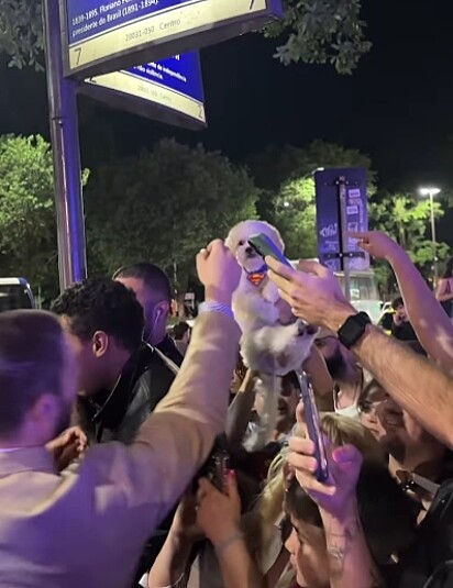 O cachorrinho foi passado de mão em mão até alcançar o novo Superman que o esperava de braços abertos.