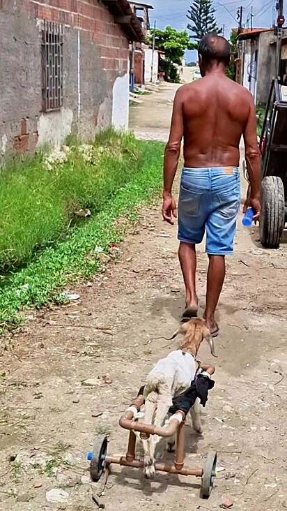Frederico passeando de cadeira de rodas.