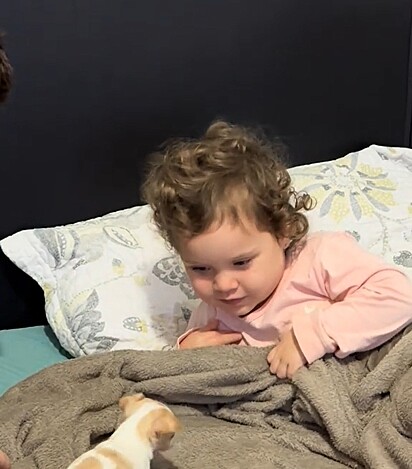 Maria Cecília Freitas vendo a cachorrinha pela primeira vez.