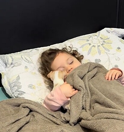 Maria Cecília Freitas abraçada na cachorrinha Gisele.