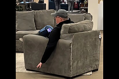 Pensando em seus pets, homem vai à loja comprar estofado com uma única exigência — e não é conforto.