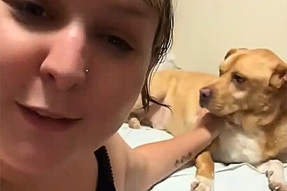 Tutora busca pet na creche e descobre que cão tem “trabalho fixo” — e leva a rotina a sério.