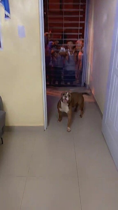 Não tem hora para os fãs de Poppy.